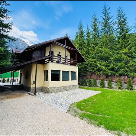Ollie'S Mountain Chalet Buşteni Exterior foto