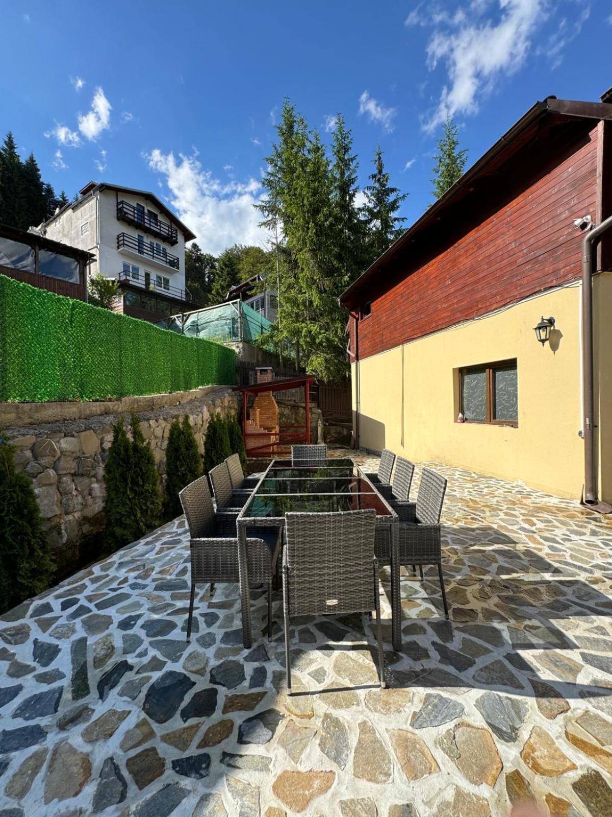 Ollie'S Mountain Chalet Buşteni Exterior foto