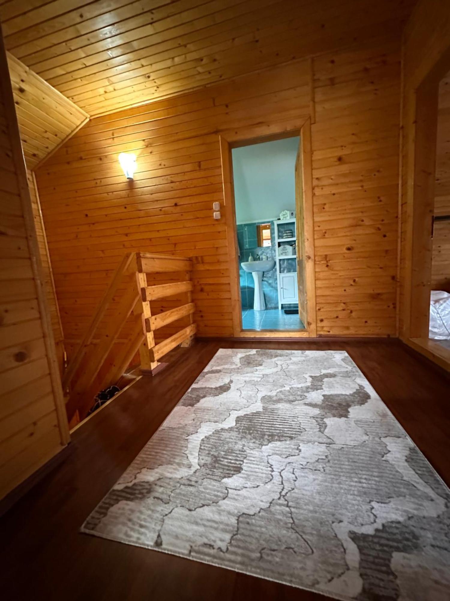 Ollie'S Mountain Chalet Buşteni Exterior foto